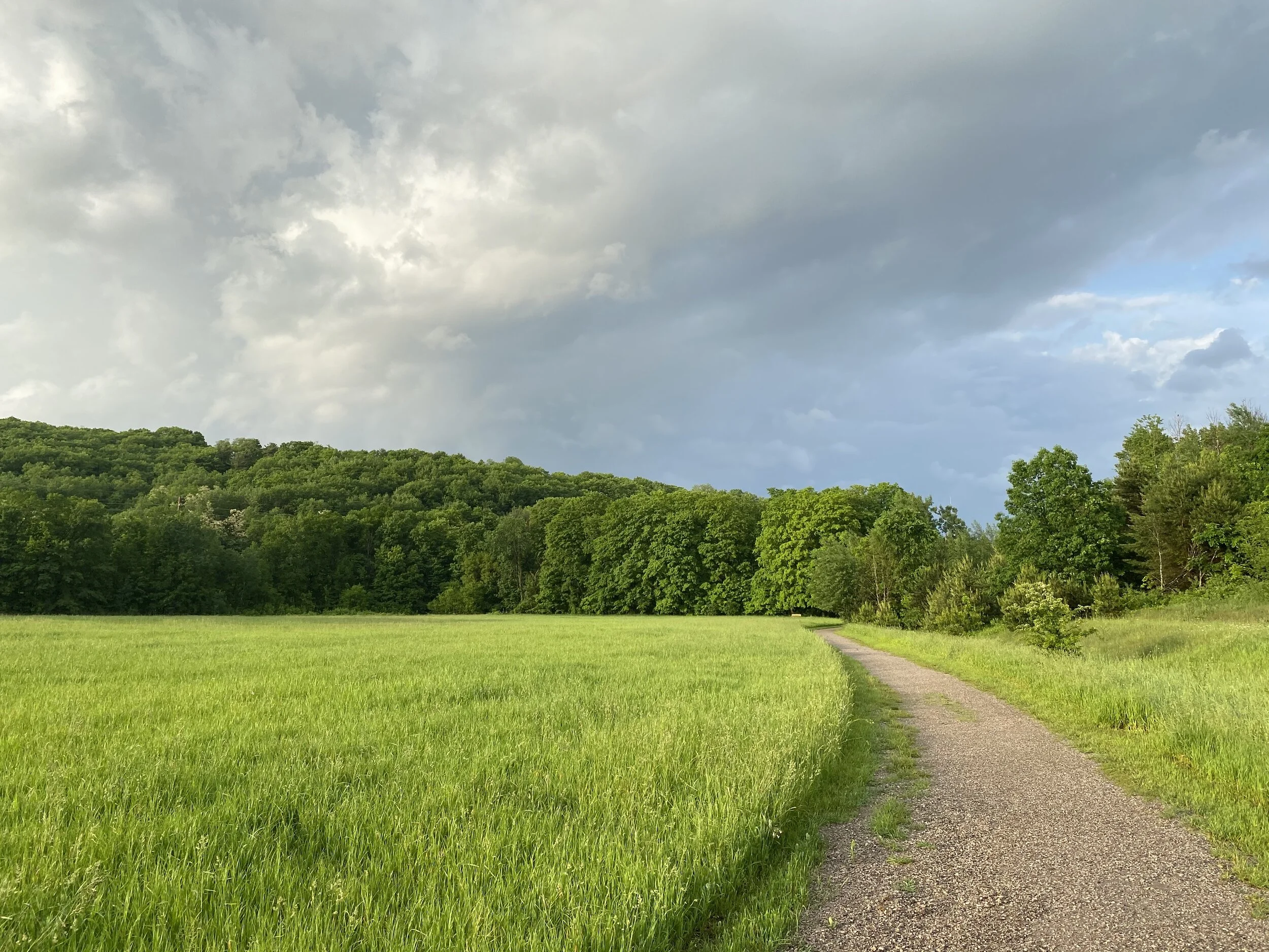 Meadow Road 　牧草地の道 Meadow Road 牧草地の道 The Meadow at Boxerwood: a natural burial